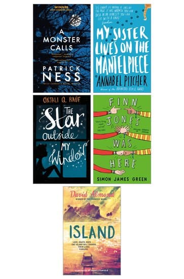 KS3 and KS4 Books about Grief and Loss - 5 Book Collection